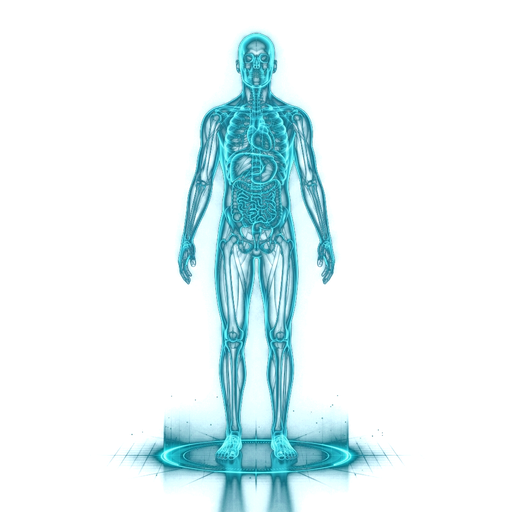 Anatomik hologram: tümör bölgeleri işaretli insan vücudu